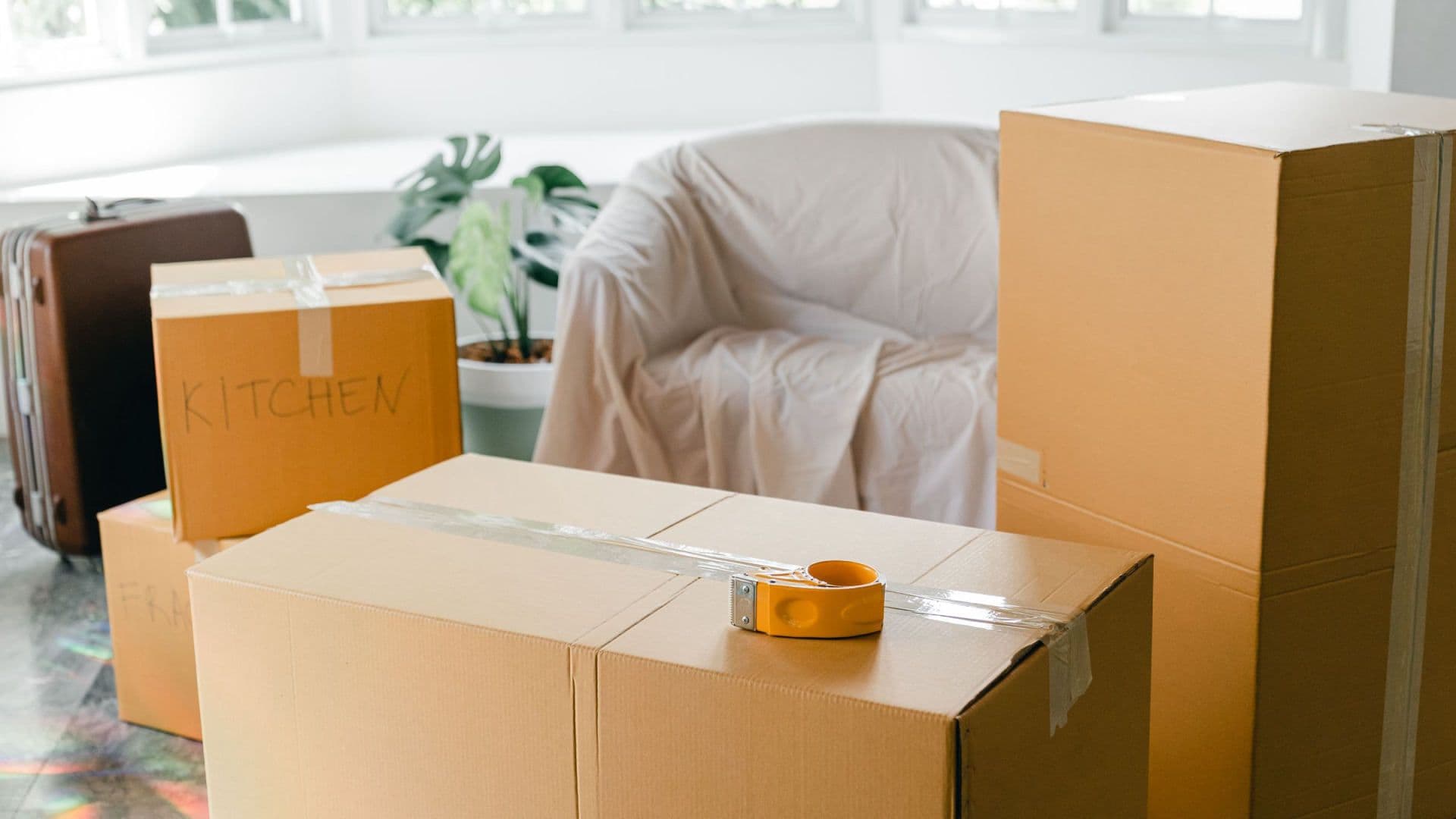 Move In / Move Out Cleaning